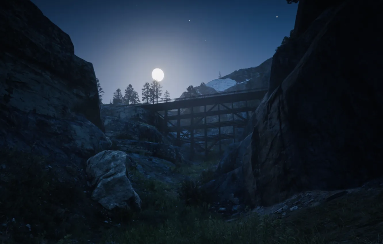 Photo wallpaper HDR, moon, rock, game, sky, trees, stone, bridge