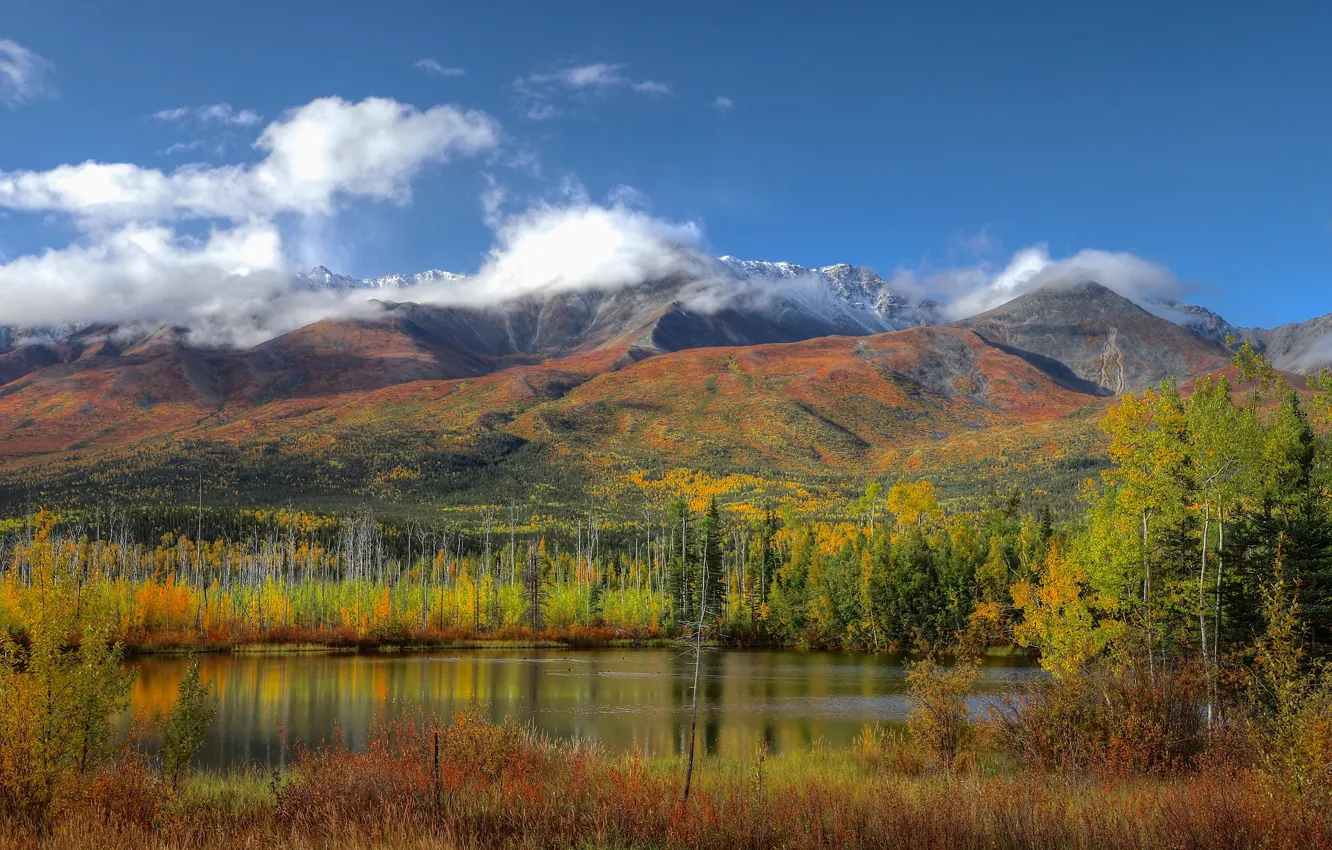 Photo wallpaper autumn, forest, the sky, clouds, trees, mountains, lake, reflection