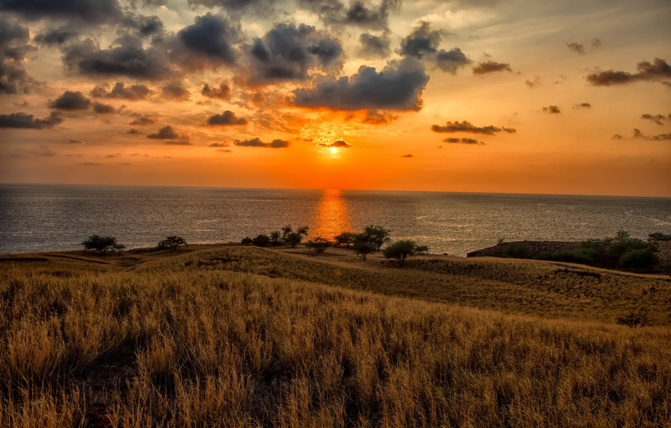 Photo wallpaper sea, the sky, grass, the sun, clouds, sunset, coast, horizon