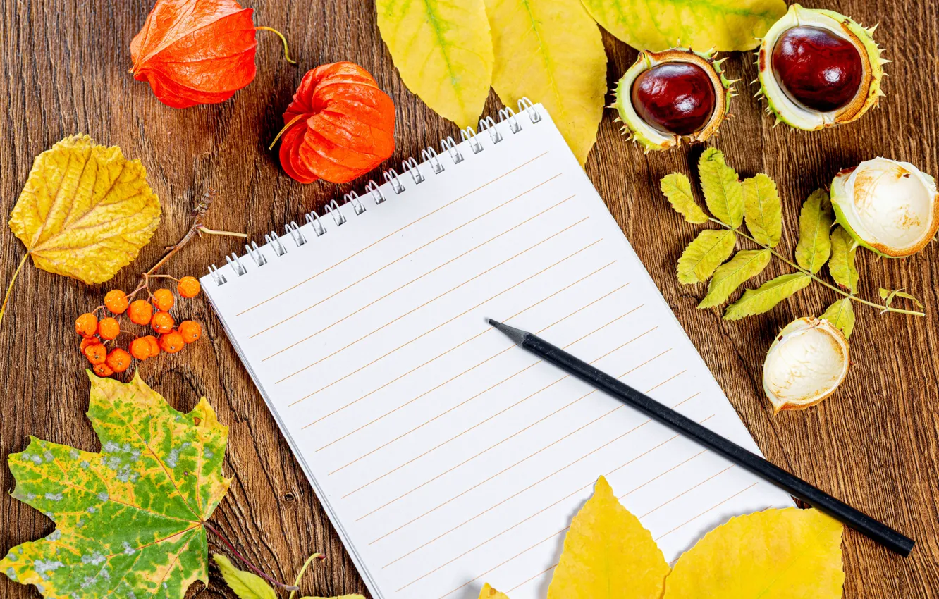 Photo wallpaper autumn, leaves, berries, Notepad, pencil, chestnuts