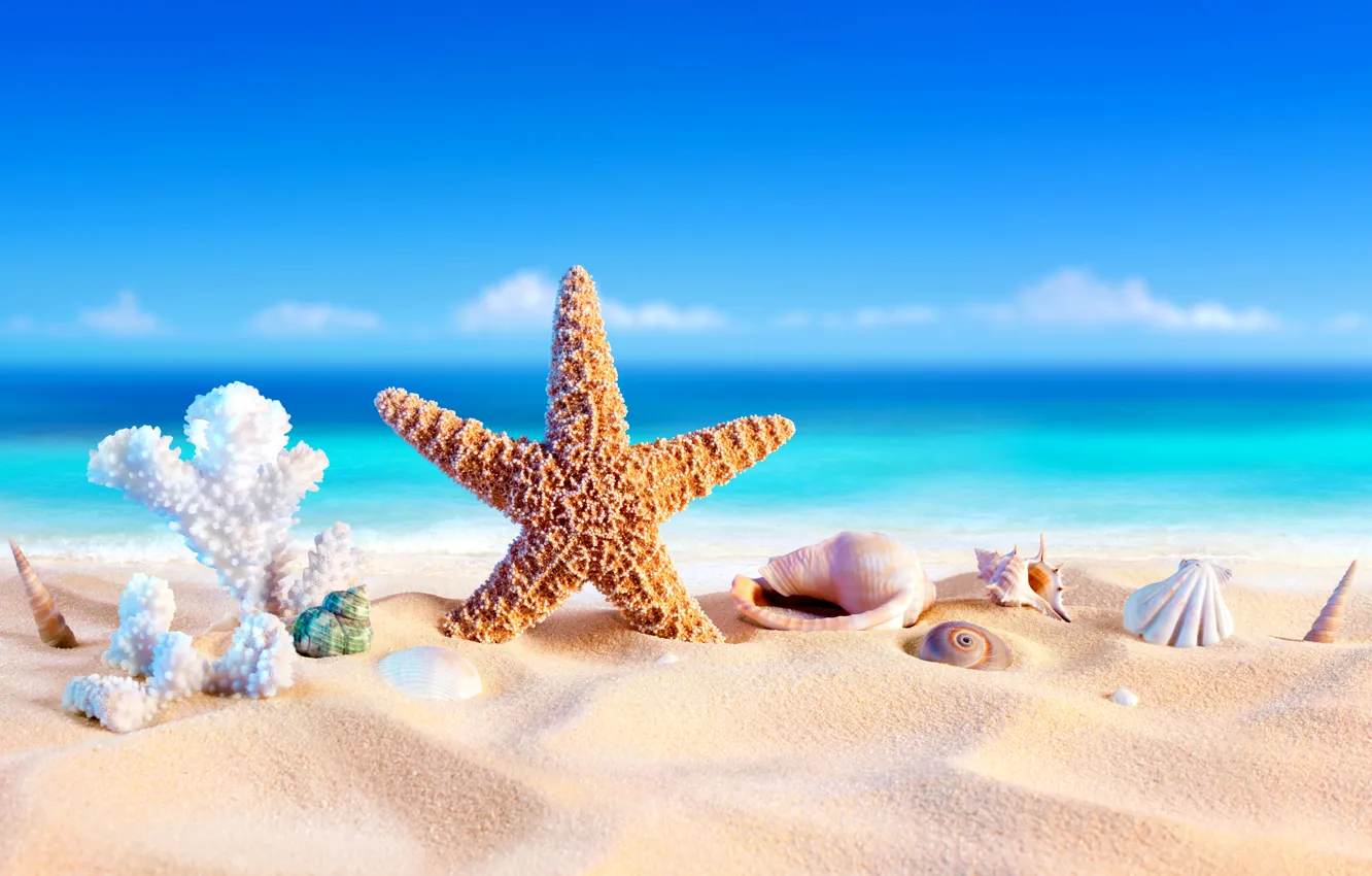 Photo wallpaper sand, sea, beach, summer, stars, vacation, shell, summer