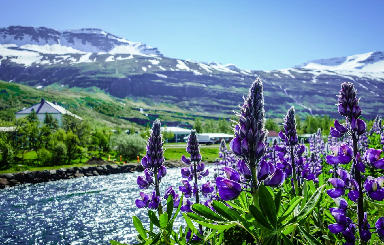 Photo wallpaper summer, the sky, snow, flowers, mountains, river, blue, shore