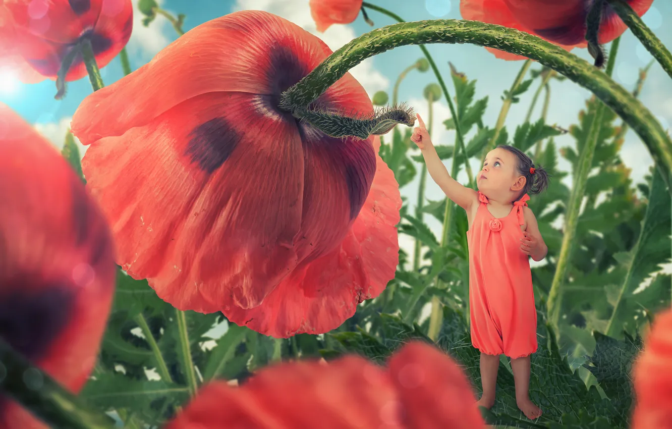 Photo wallpaper flowers, Maki, girl, Huge