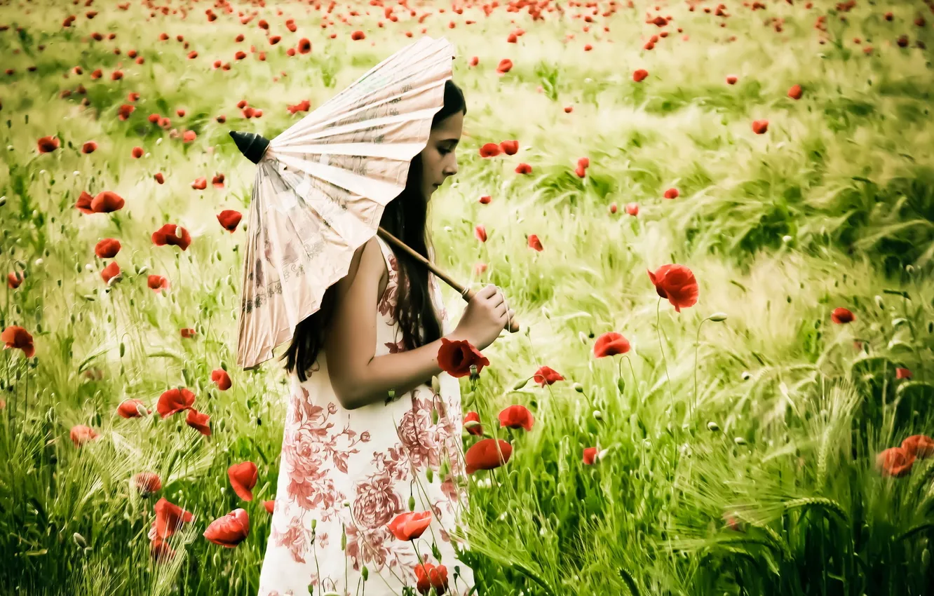 Photo wallpaper field, mood, Maki, umbrella, girl