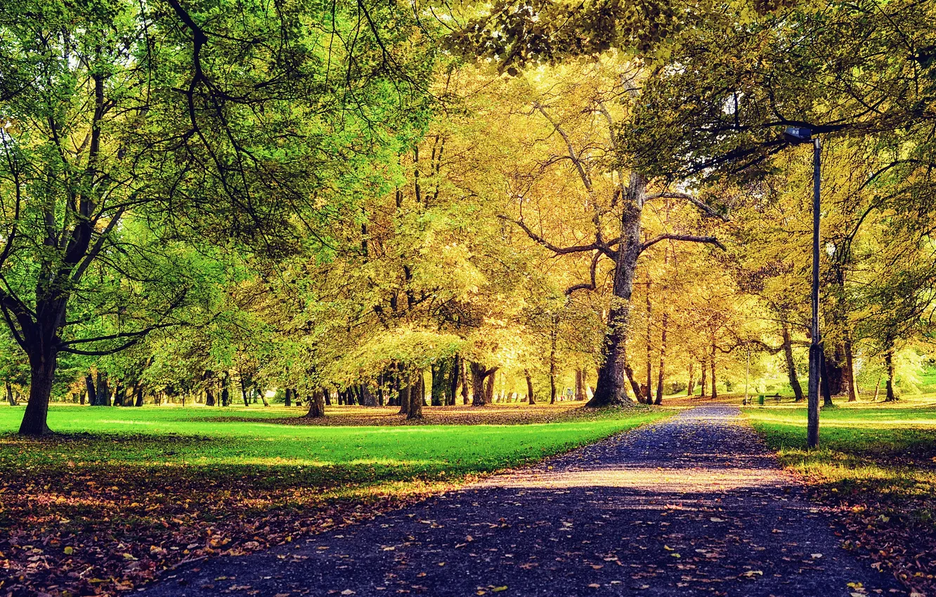 Photo wallpaper autumn, grass, leaves, trees, Park, the way, benches