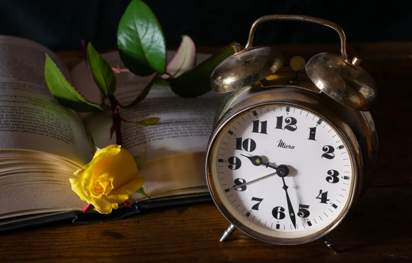 Photo wallpaper roses, alarm clock, composition