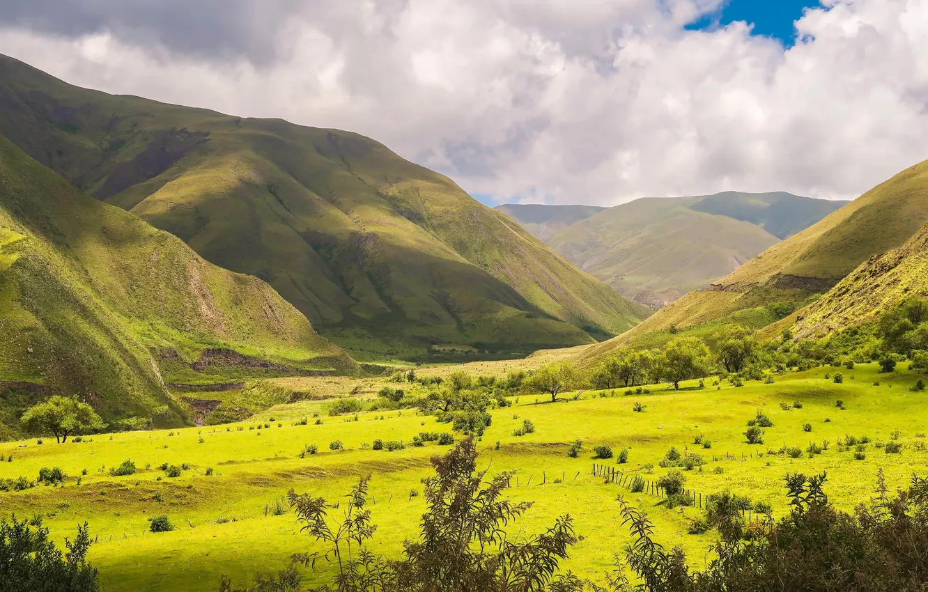 Photo wallpaper mountains, meadow, Savannah