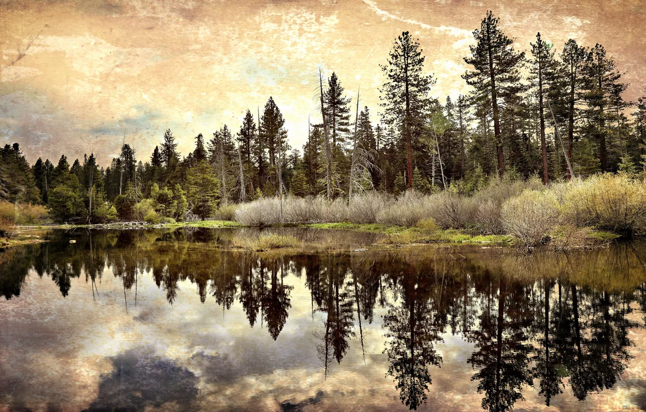 Photo wallpaper autumn, forest, clouds, lake, reflection, shore, treatment, texture
