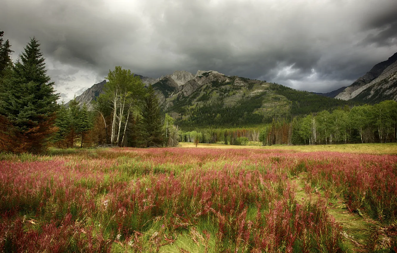 Photo wallpaper autumn, the sky, grass, trees, mountains, clouds