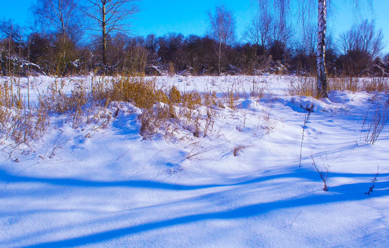 Photo wallpaper white, winter, snow