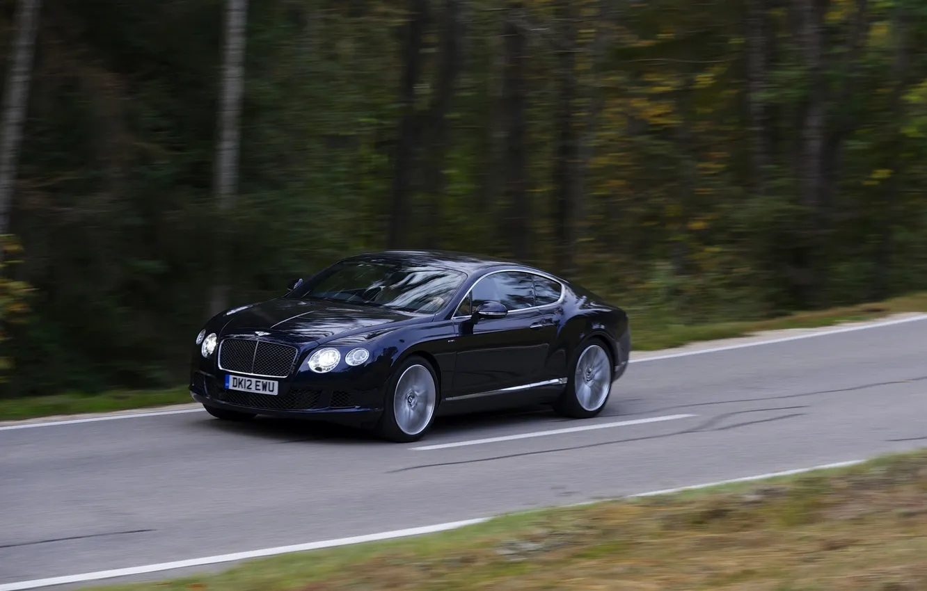 Photo wallpaper Bentley, Continental, Road, Blue, Forest, GTC, In motion, Dark blue
