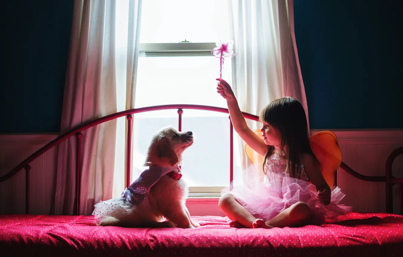 Photo wallpaper dog, girl, puppy