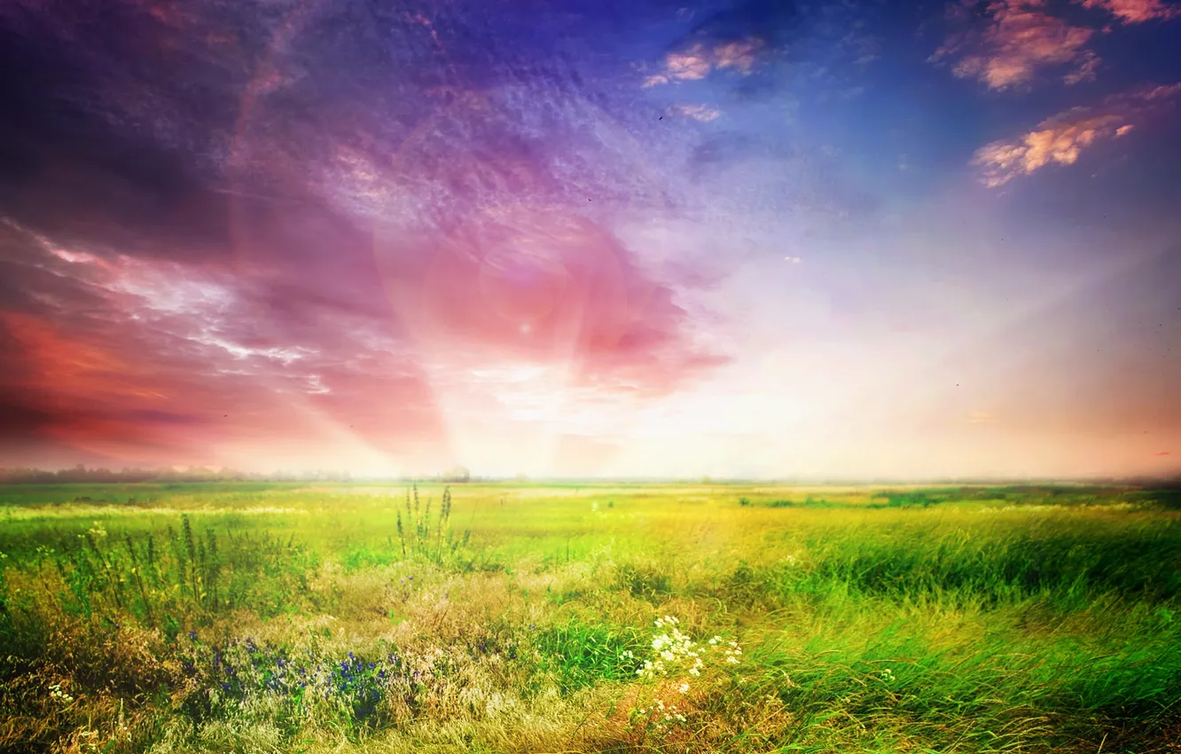 Photo wallpaper the sky, grass, flowers, the wind