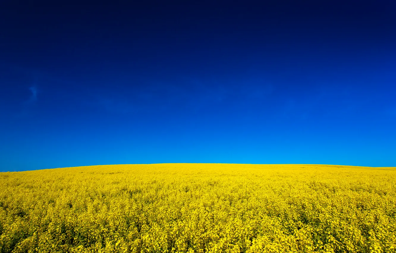 Photo wallpaper blue, yellow