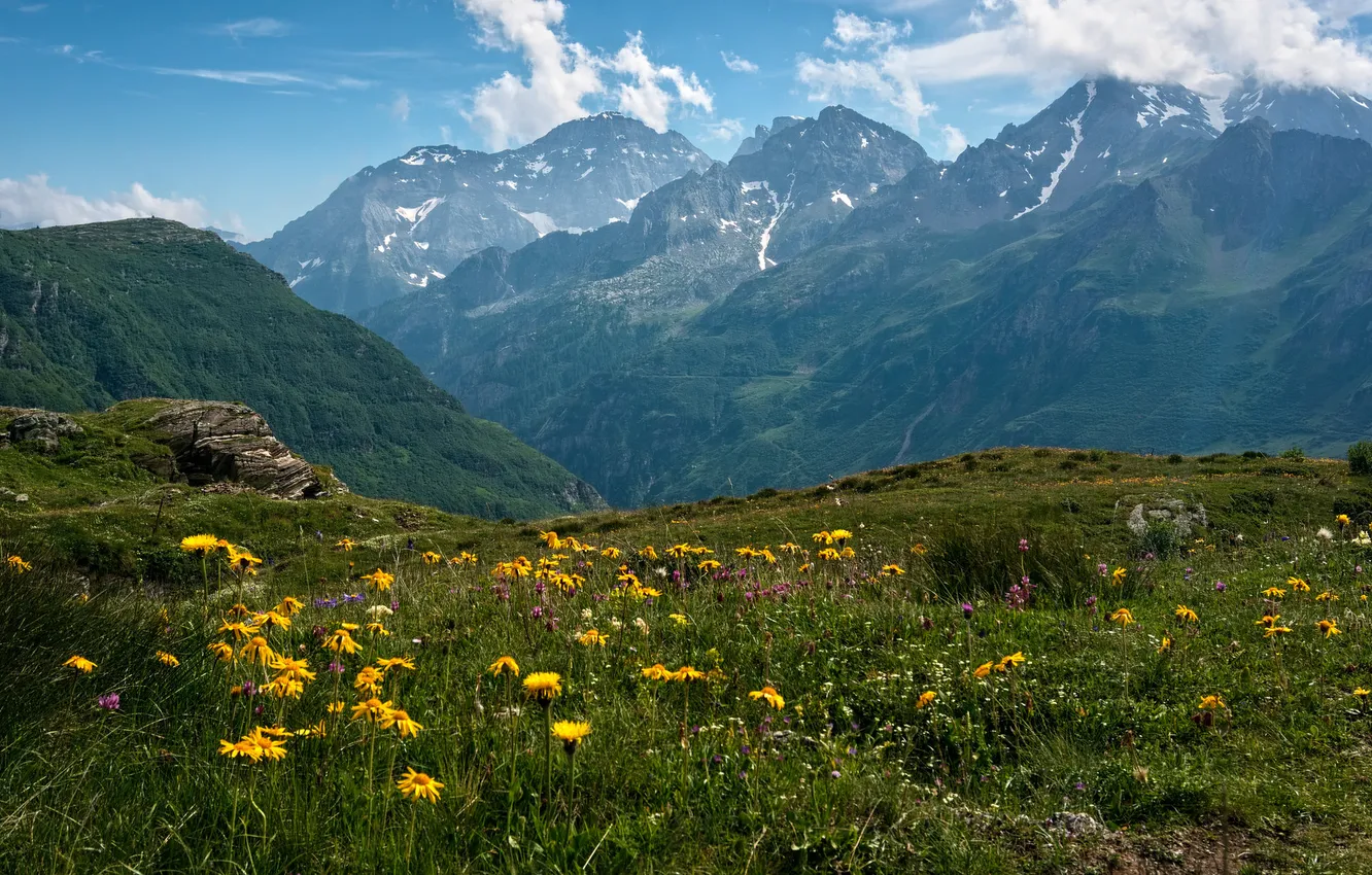 Photo wallpaper field, grass, clouds, flowers, mountains, yellow, fog, blue