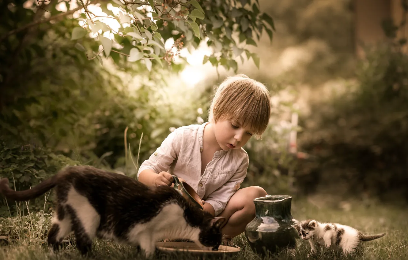 Photo wallpaper cat, nature, each, boy, pitcher, kitty, feeding