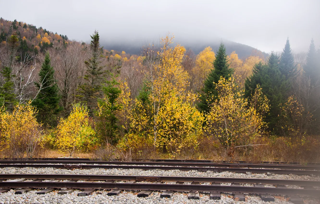 Photo wallpaper autumn, trees, mountains, fog, rails, Nature, trees, autumn
