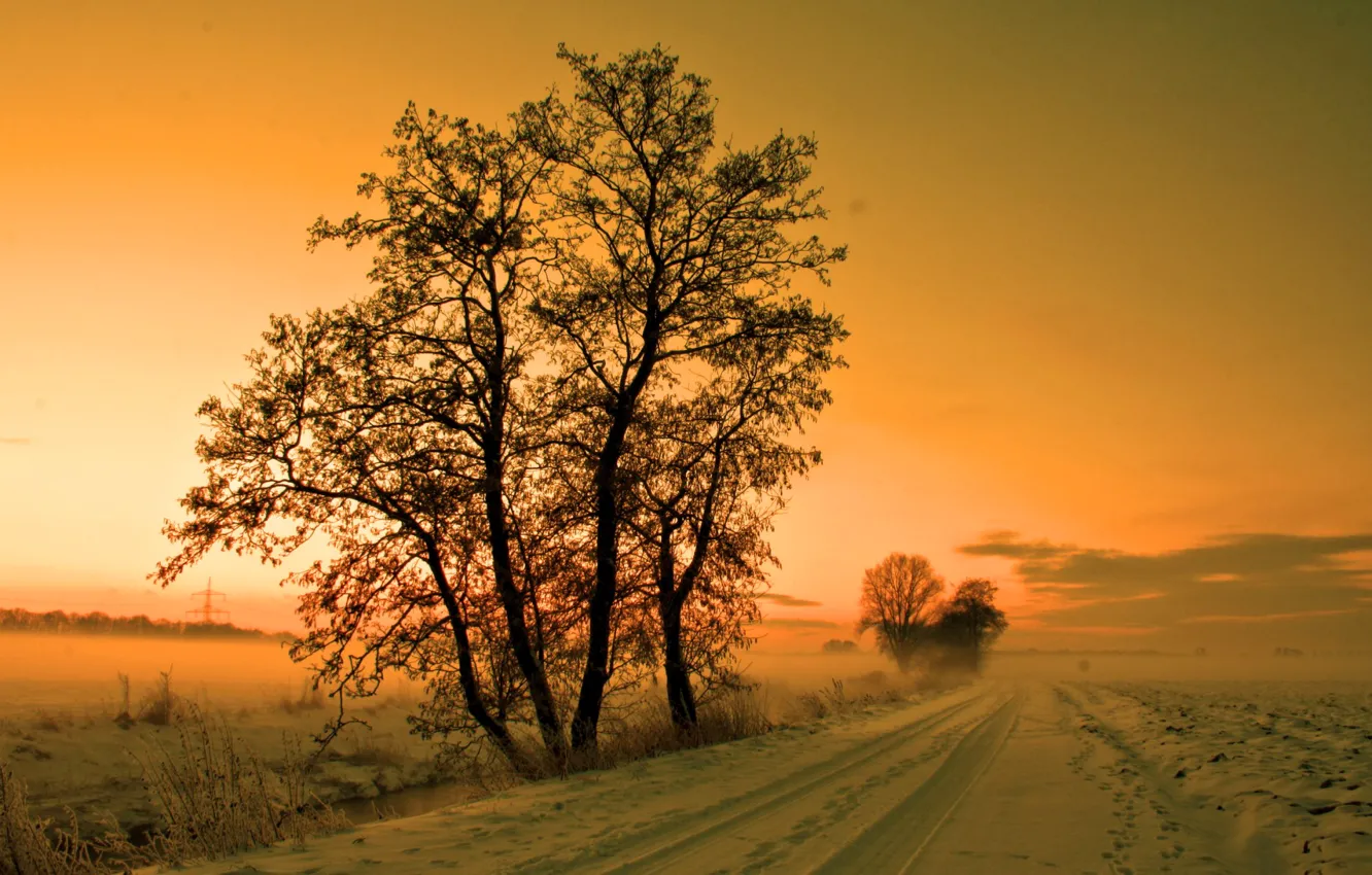 Photo wallpaper winter, road, the sky, snow, trees, sunset, fog, haze