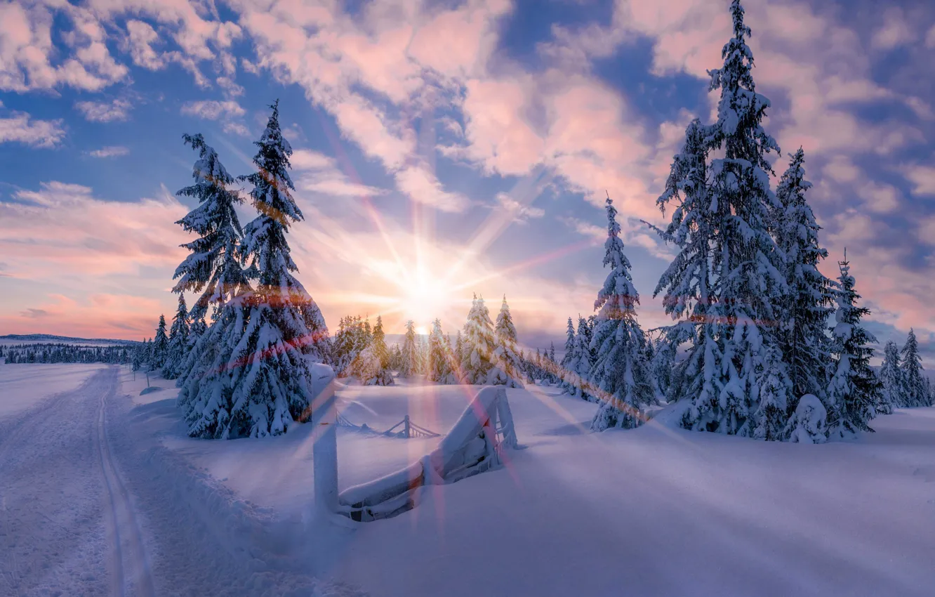 Photo wallpaper winter, the sun, light, snow, star, morning, Norway