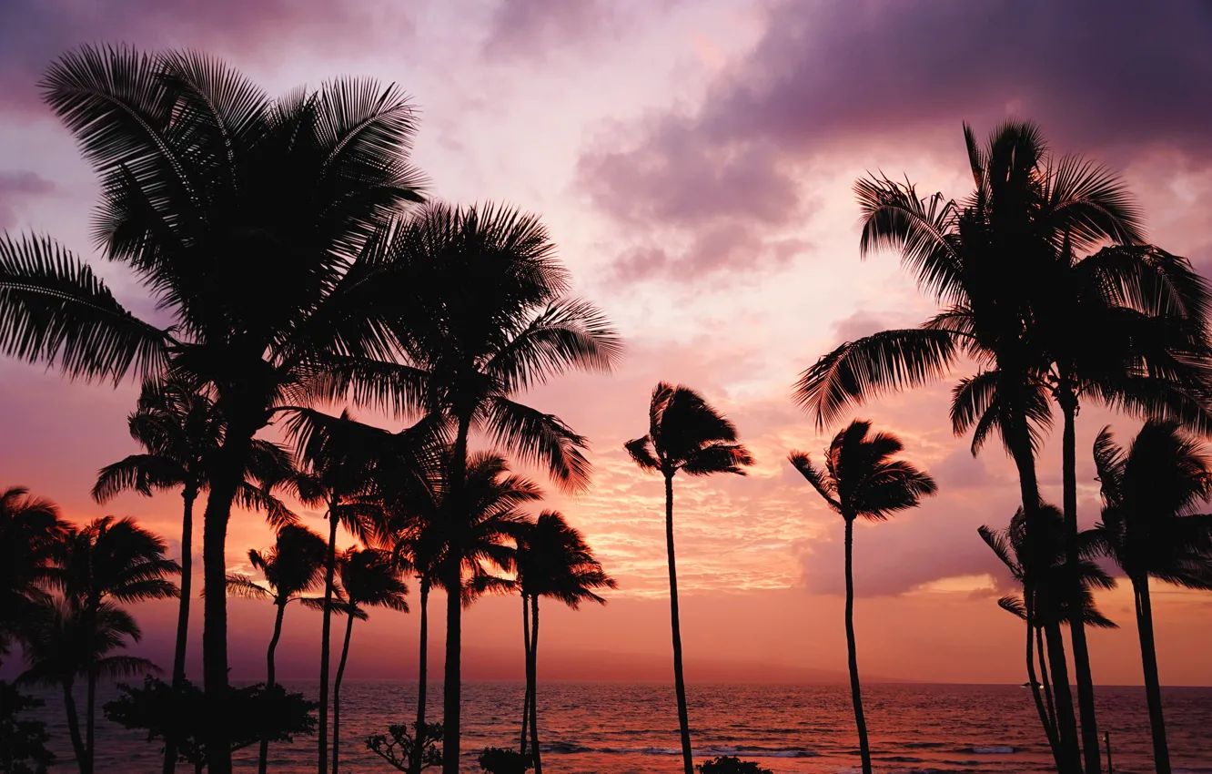 Photo wallpaper summer, the sky, sunset, palm trees, the ocean, island, silhouette