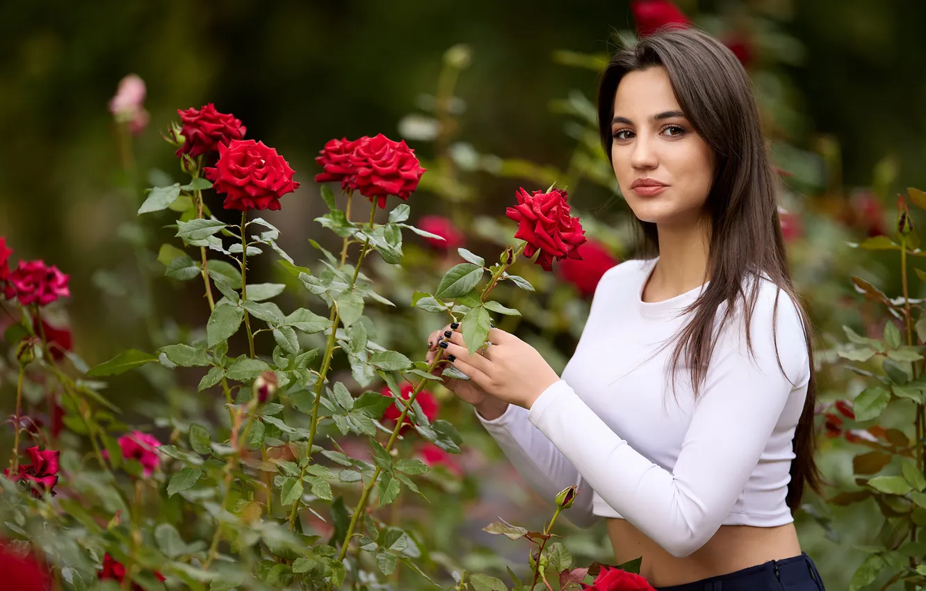 Photo wallpaper look, flowers, smile, hair, roses, blouse