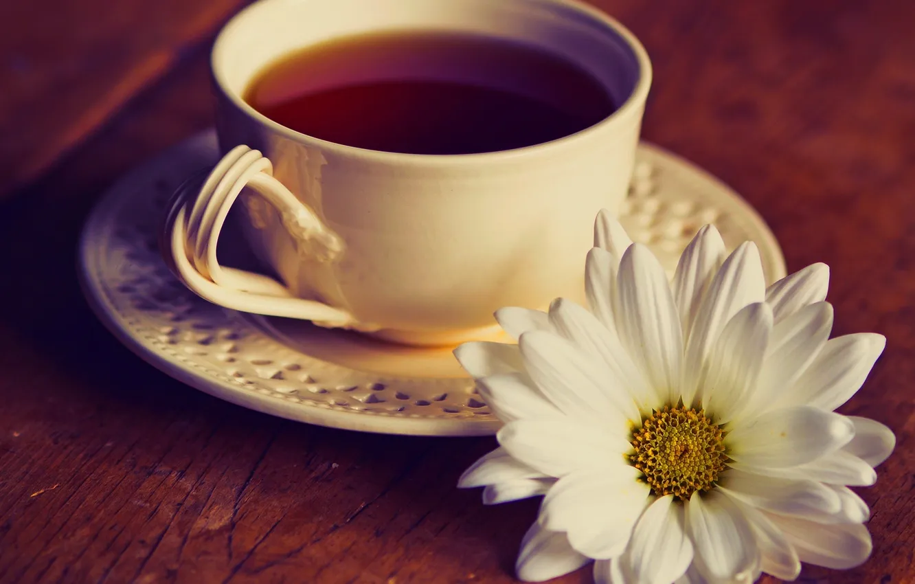 Photo wallpaper flowers, tea, Cup, still life, flowers, cup, still life, drink