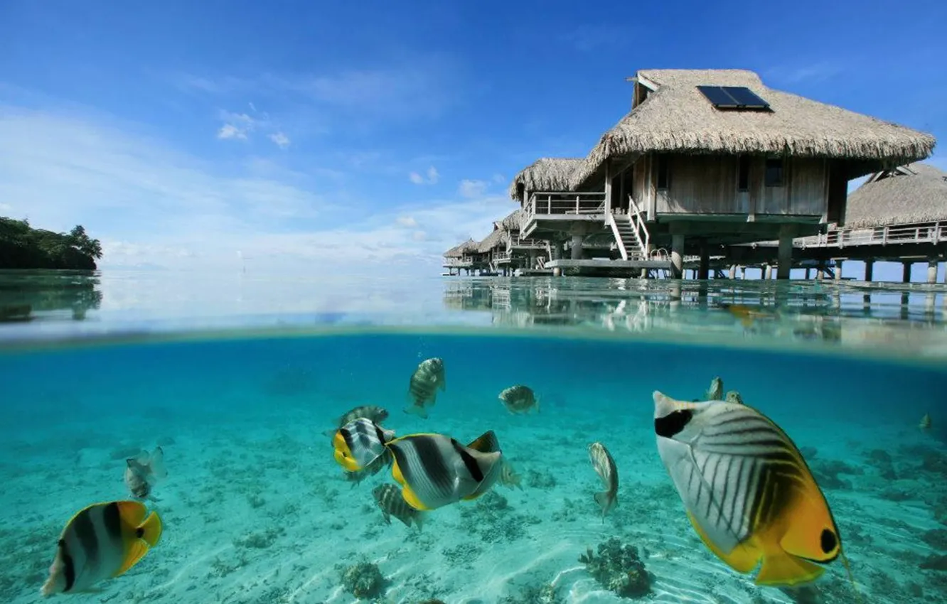 Photo wallpaper underwater, Tahiti, beautiful, fish, tropical, Blue Lagoon, coral reef, villas bungalows