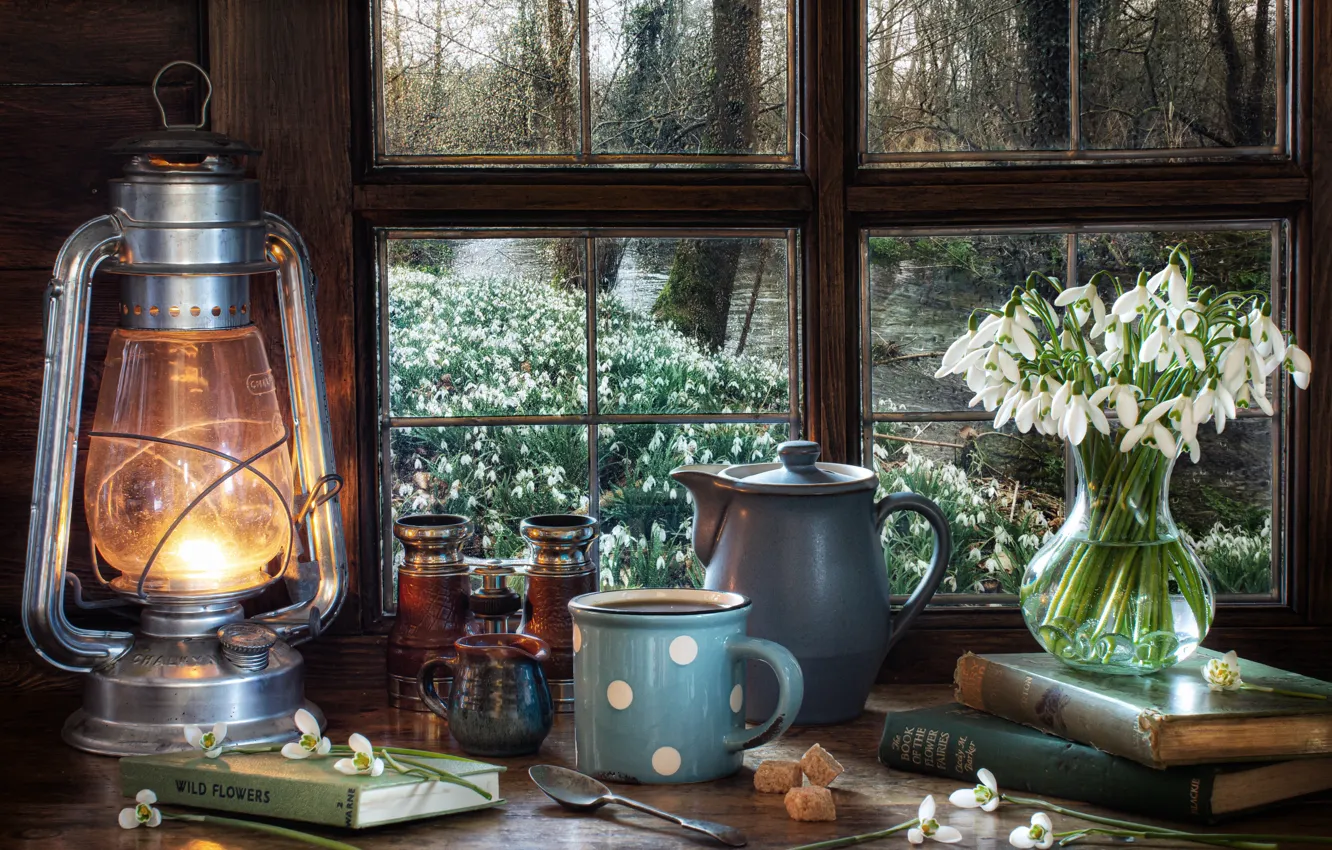 Photo wallpaper flowers, style, books, lamp, kettle, window, snowdrops, mug