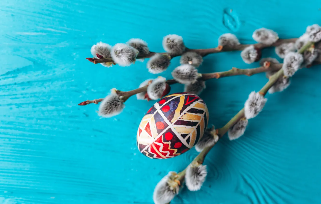 Photo wallpaper branches, eggs, spring, colorful, Easter, wood, Verba, spring