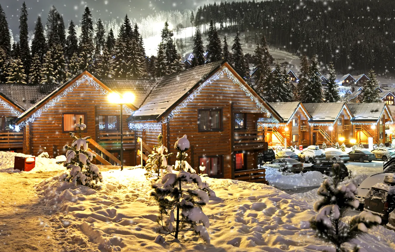 Photo wallpaper winter, forest, snow, trees, snowflakes, night, lights, holiday