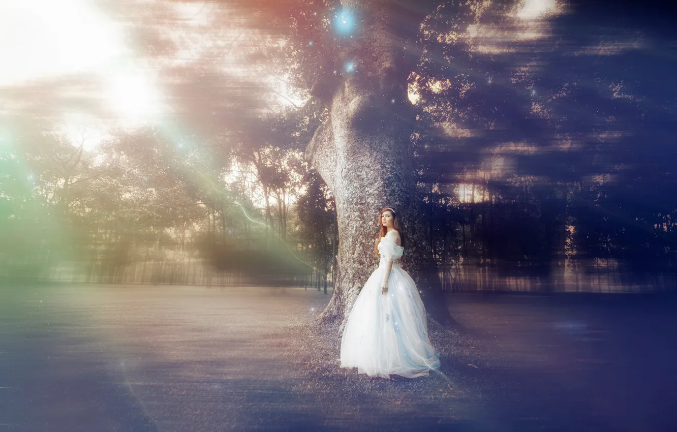 Photo wallpaper girl, tree, tale, dress, ALICE IN WONDER LAND