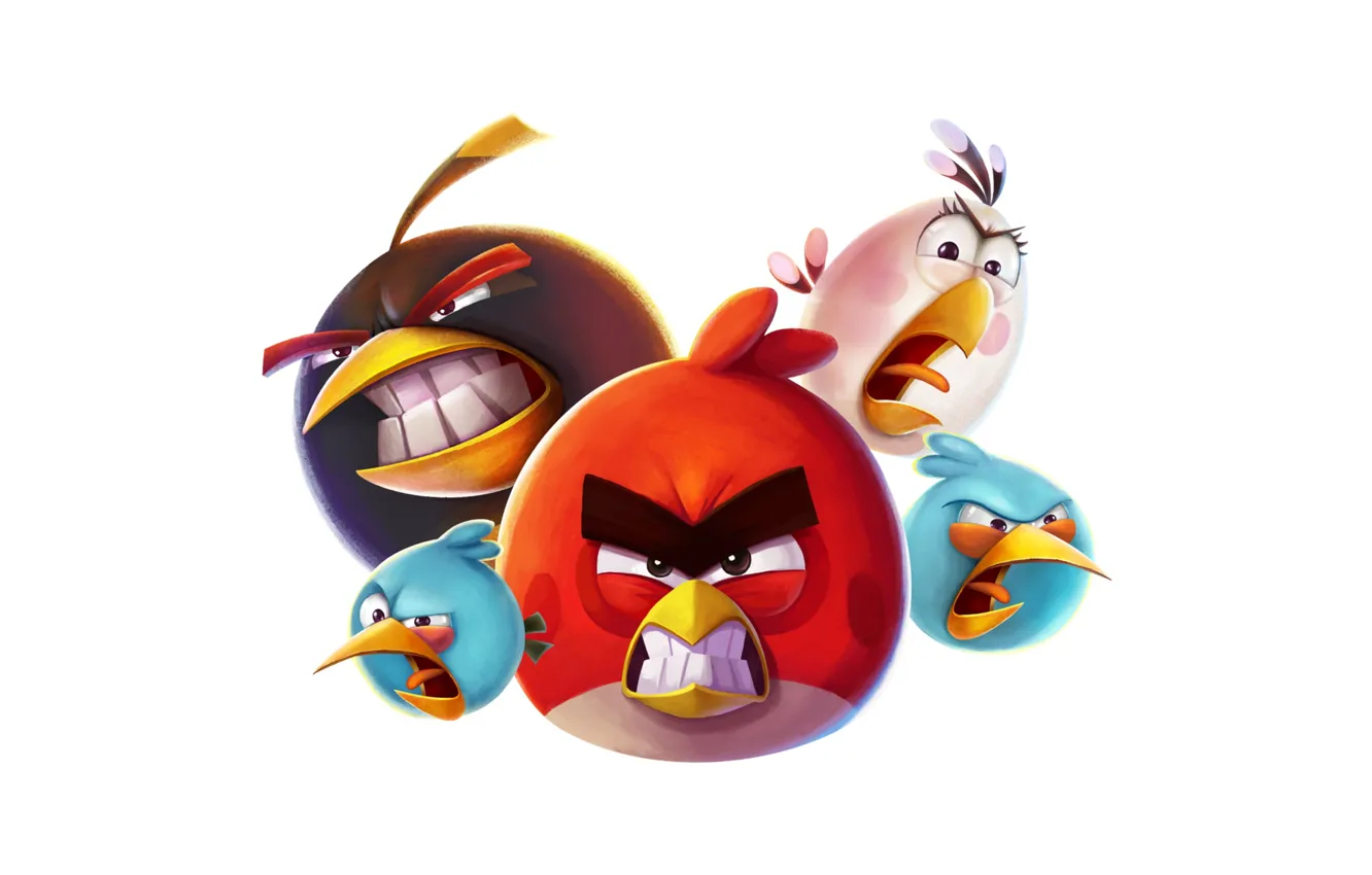 Photo wallpaper bird, Wallpaper, the game, white background, wallpaper, picture, on the desktop, Angry Birds