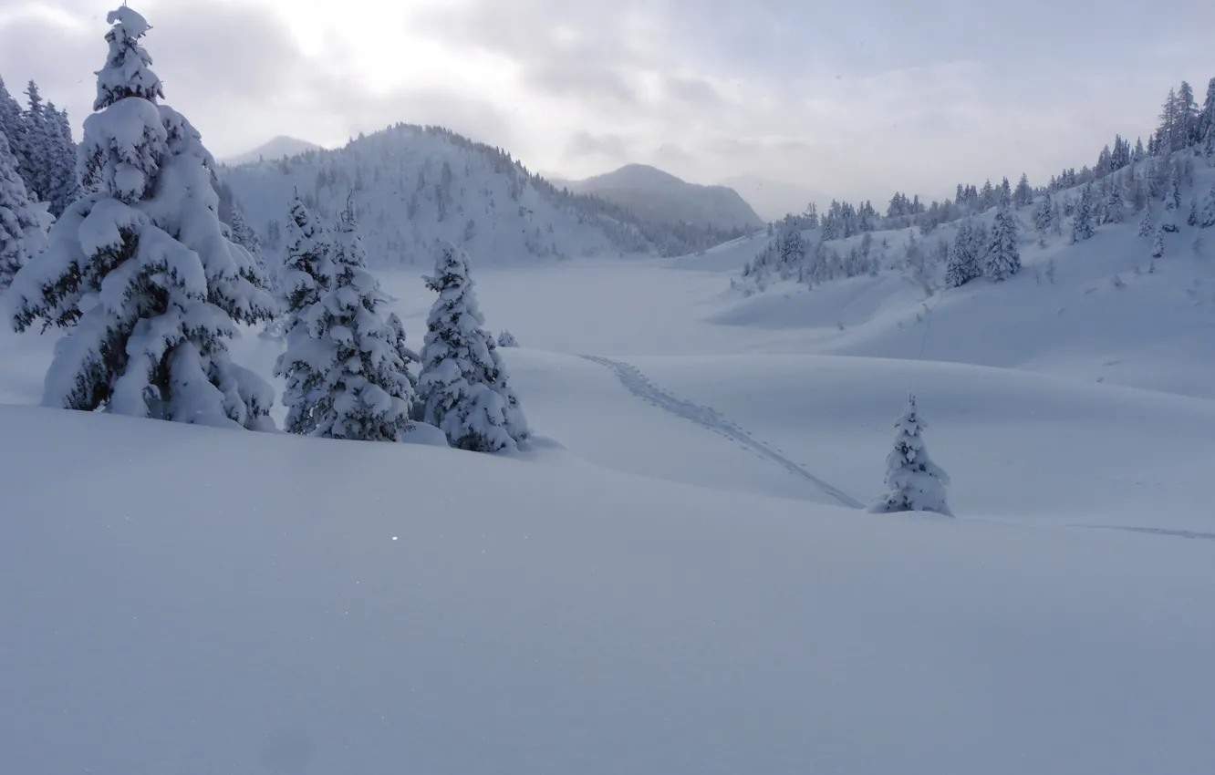 Photo wallpaper winter, snow, trees, mountains, traces, ate, Canada, the snow