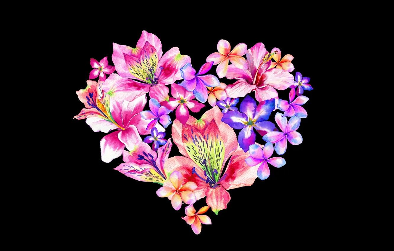 Photo wallpaper flowers, design, heart, art, black background, Valentine's day, plumeria, alstremeria