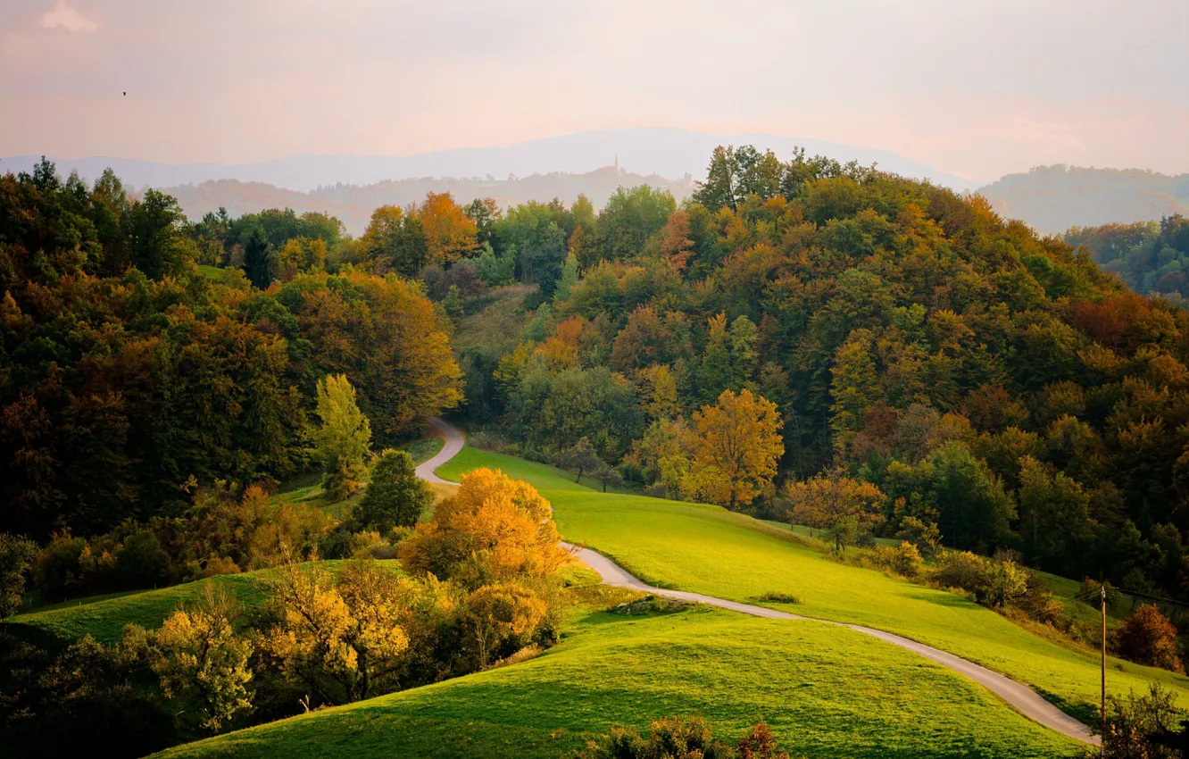 Photo wallpaper road, valley, wooded hills