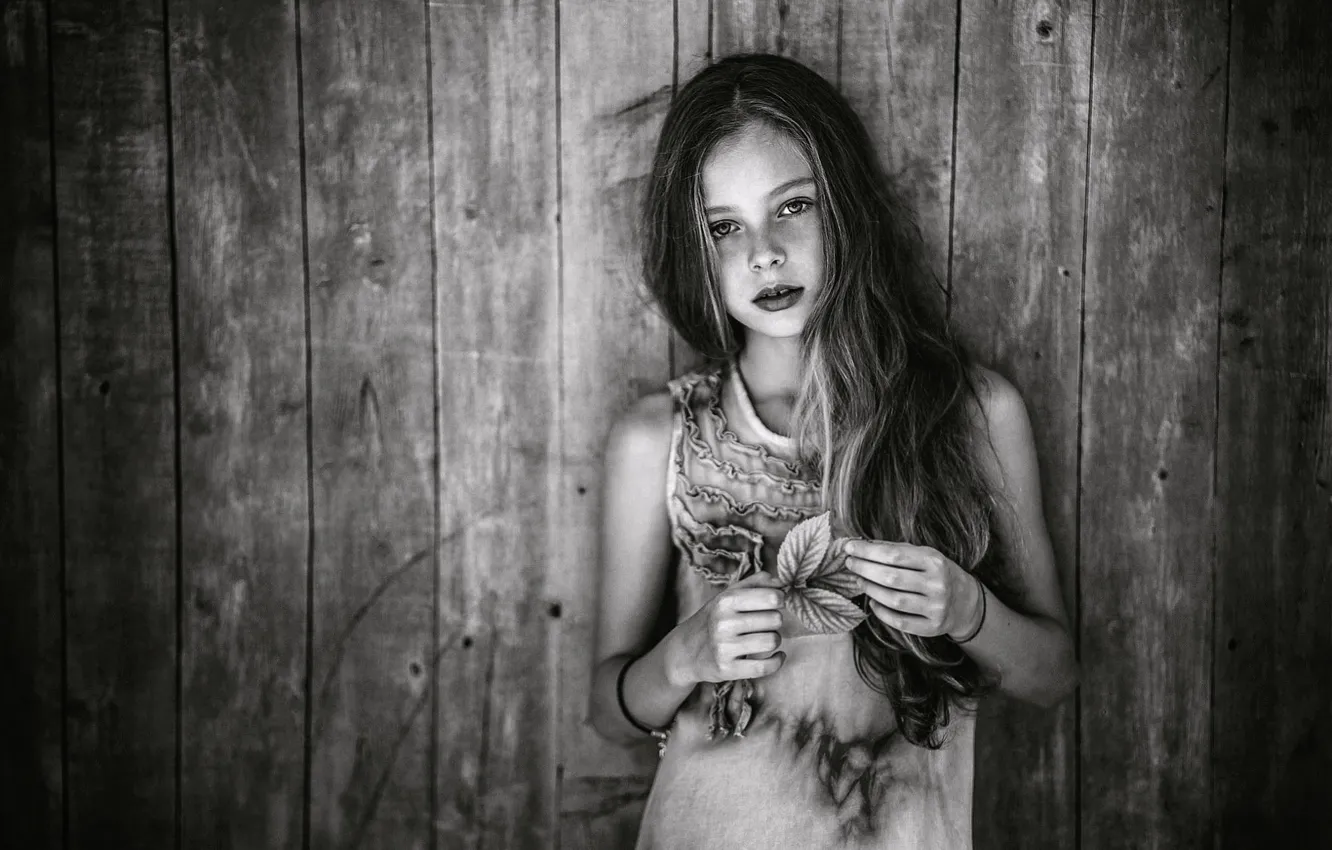 Photo wallpaper girl, bokeh, photo, exquisite beauty