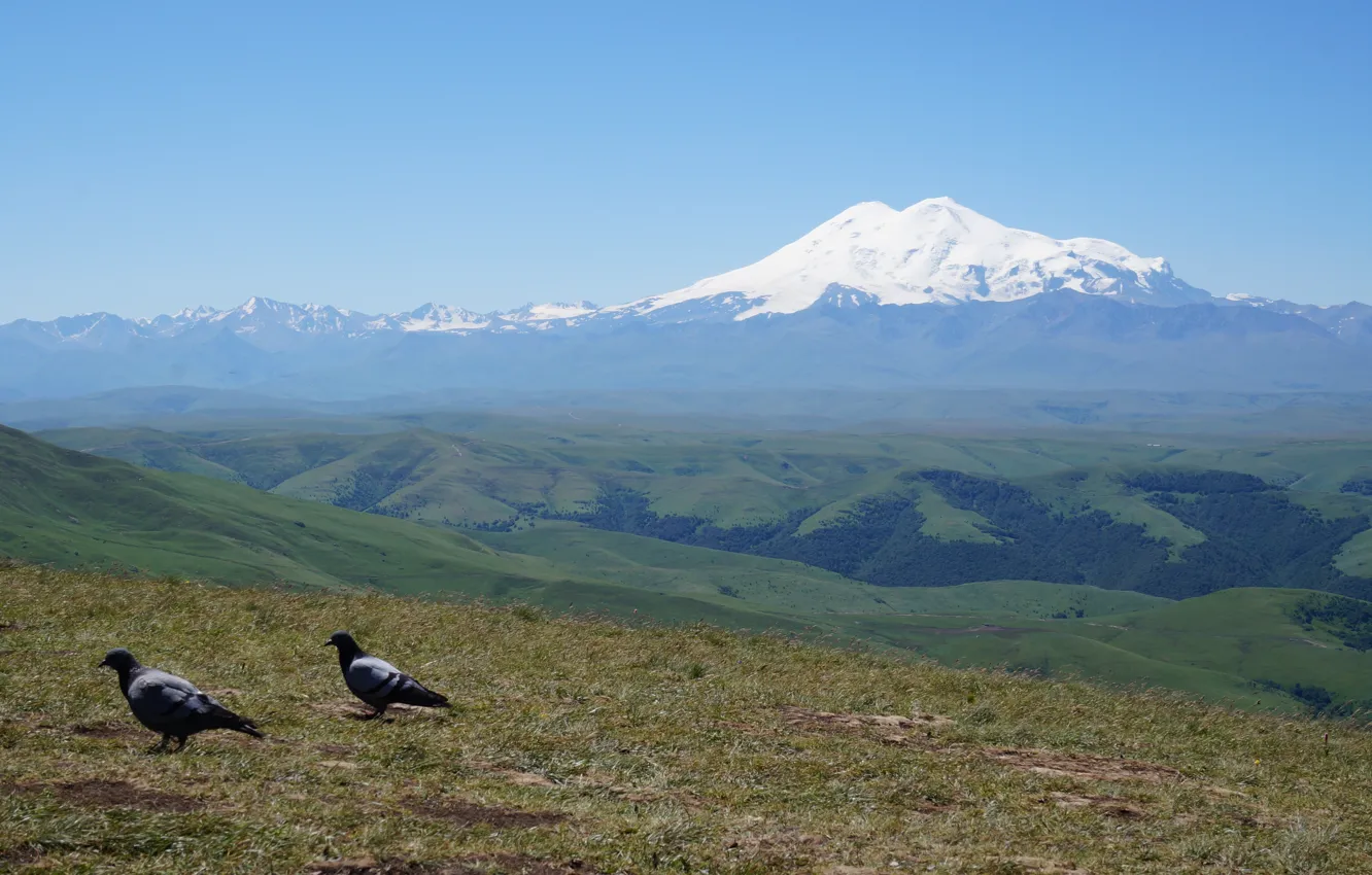 Photo wallpaper mountains, pigeons, The Caucasus, Elbrus