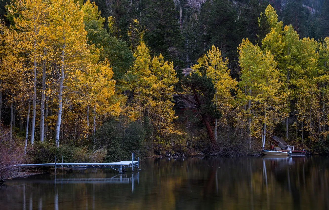 Photo wallpaper autumn, forest, trees, lake, boat, pier