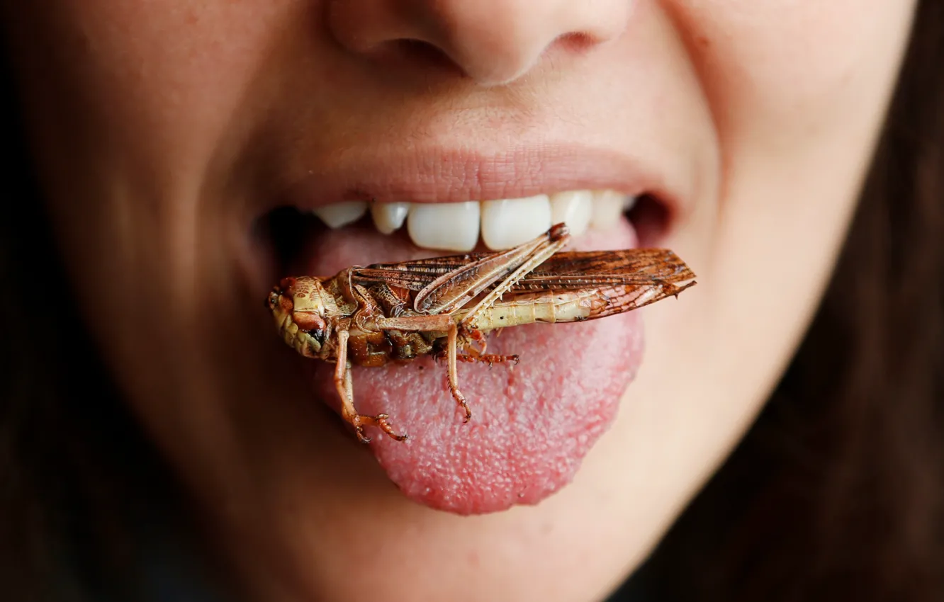 Photo wallpaper woman, lips, insect, teeth, grasshoppers
