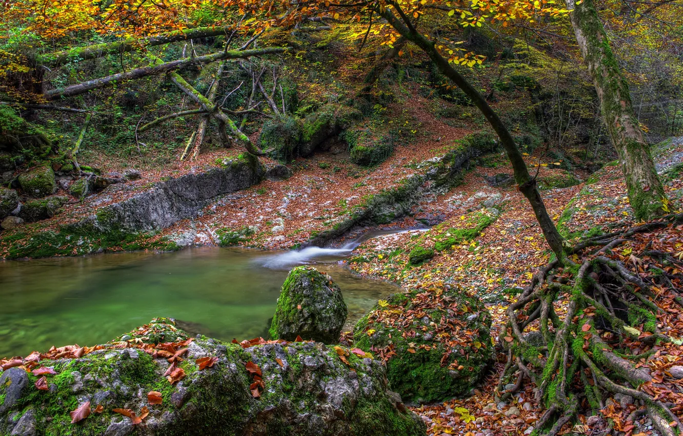 Photo wallpaper autumn, leaves, water, trees, lake, river, stones, moss