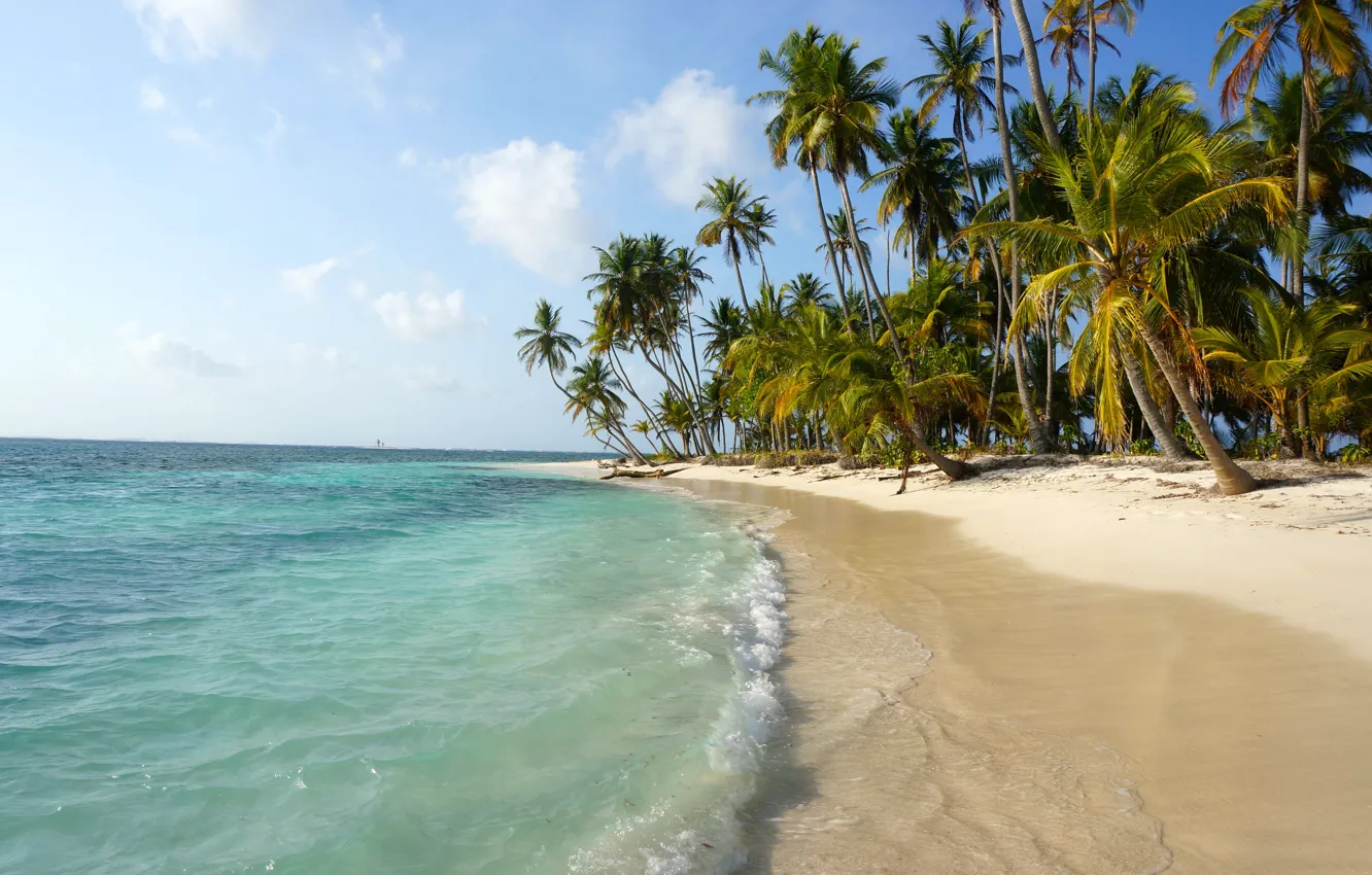 Photo wallpaper nature, tropics, palm trees, the ocean, shore, exotic, Panama, San Blas
