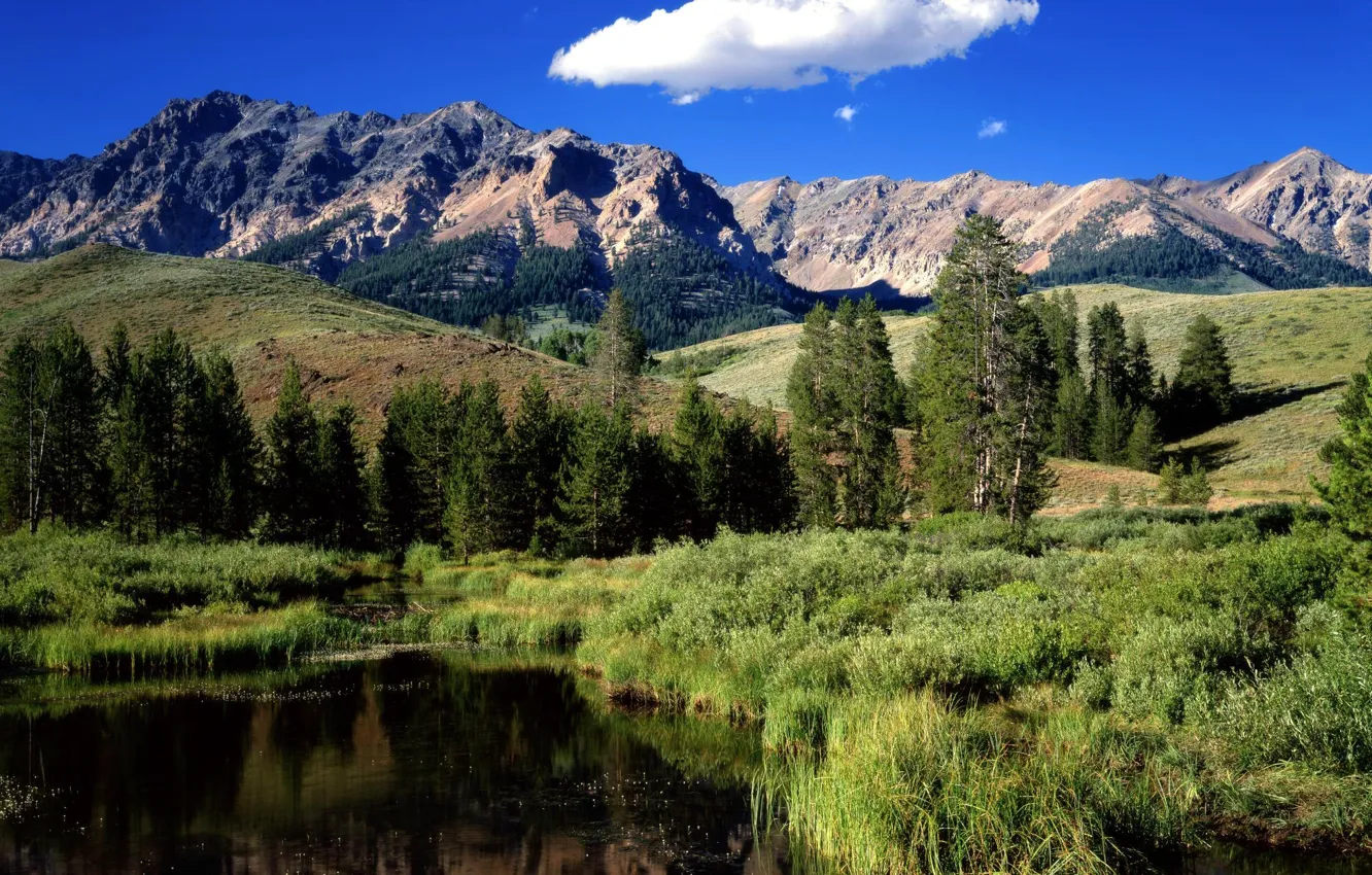 Photo wallpaper forest, mountains, river