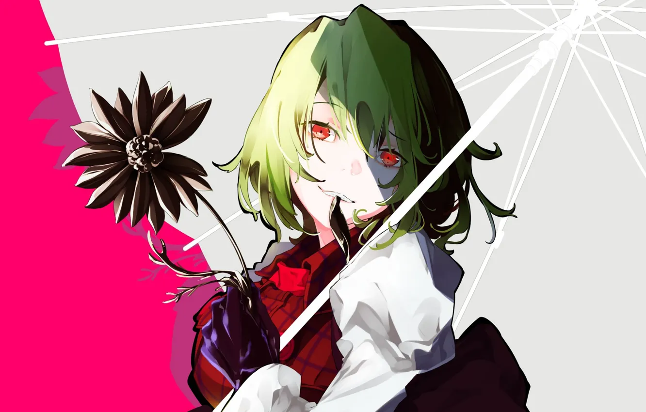 Photo wallpaper flower, girl, Touhou, Touhou, Touhou, Yuuka Kazami