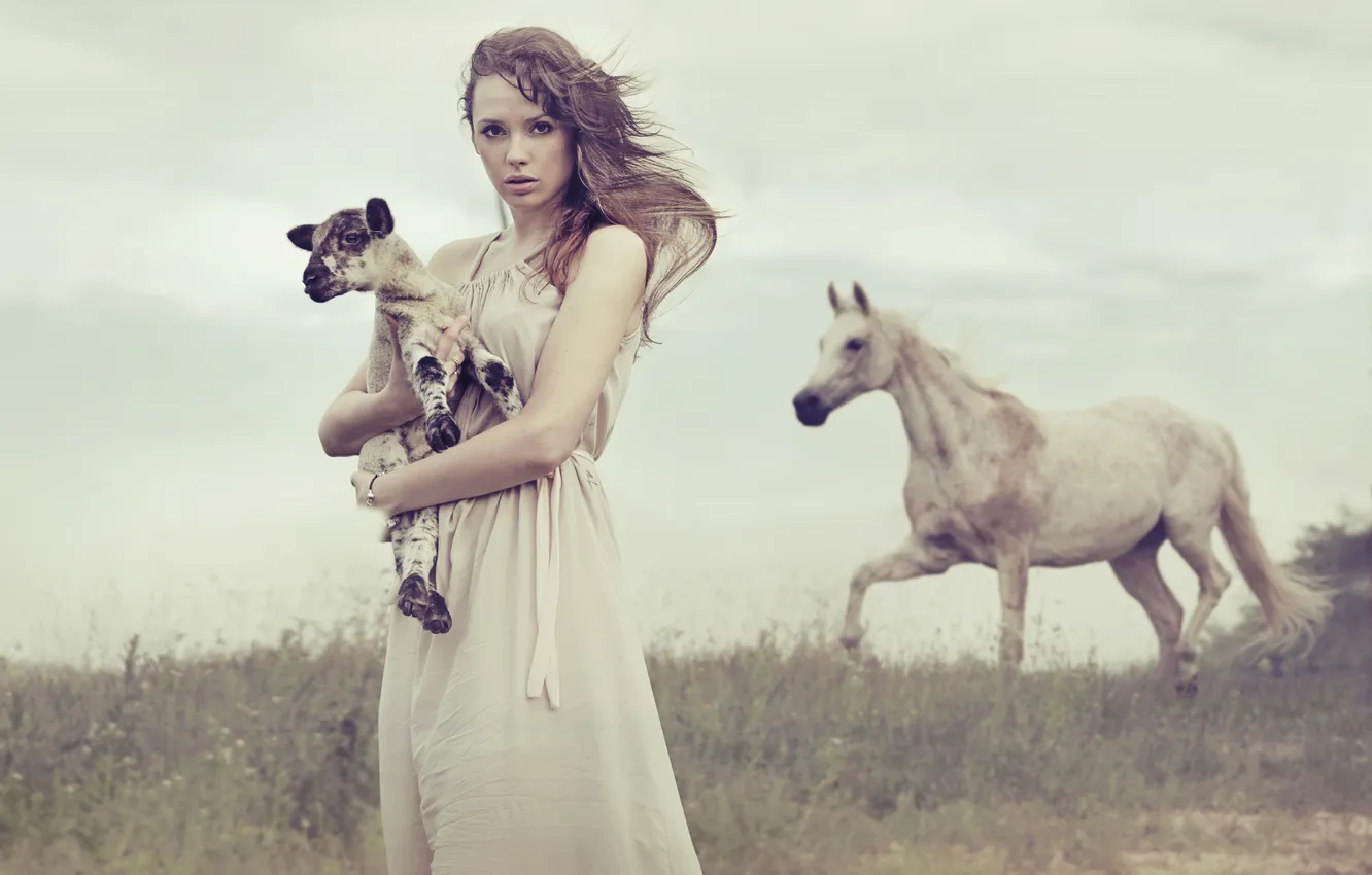 Photo wallpaper girl, the wind, horse, brown hair
