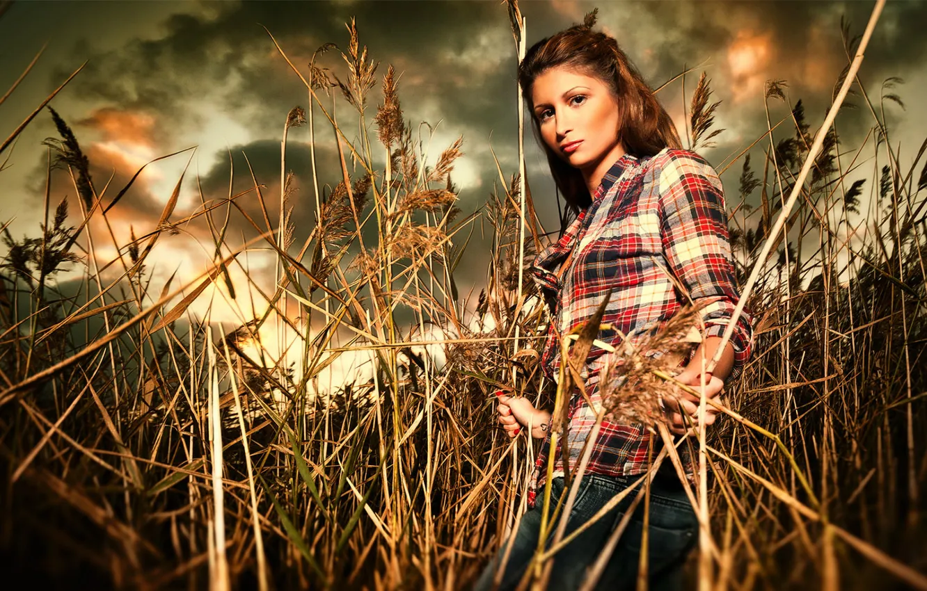 Photo wallpaper grass, girl, model, girl, in the field