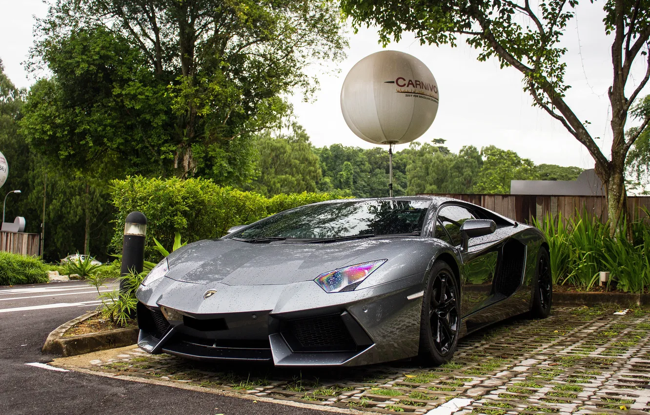 Photo wallpaper road, the sky, trees, reflection, grey, lamborghini, front view, grey