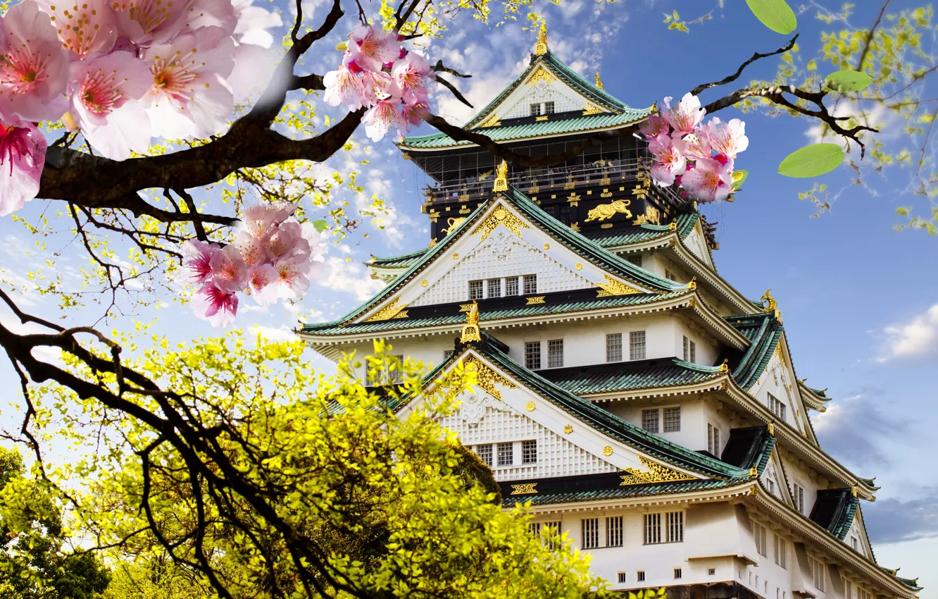 Photo wallpaper castle, Japan, Sakura, flowering, Japanese, castle, japanese