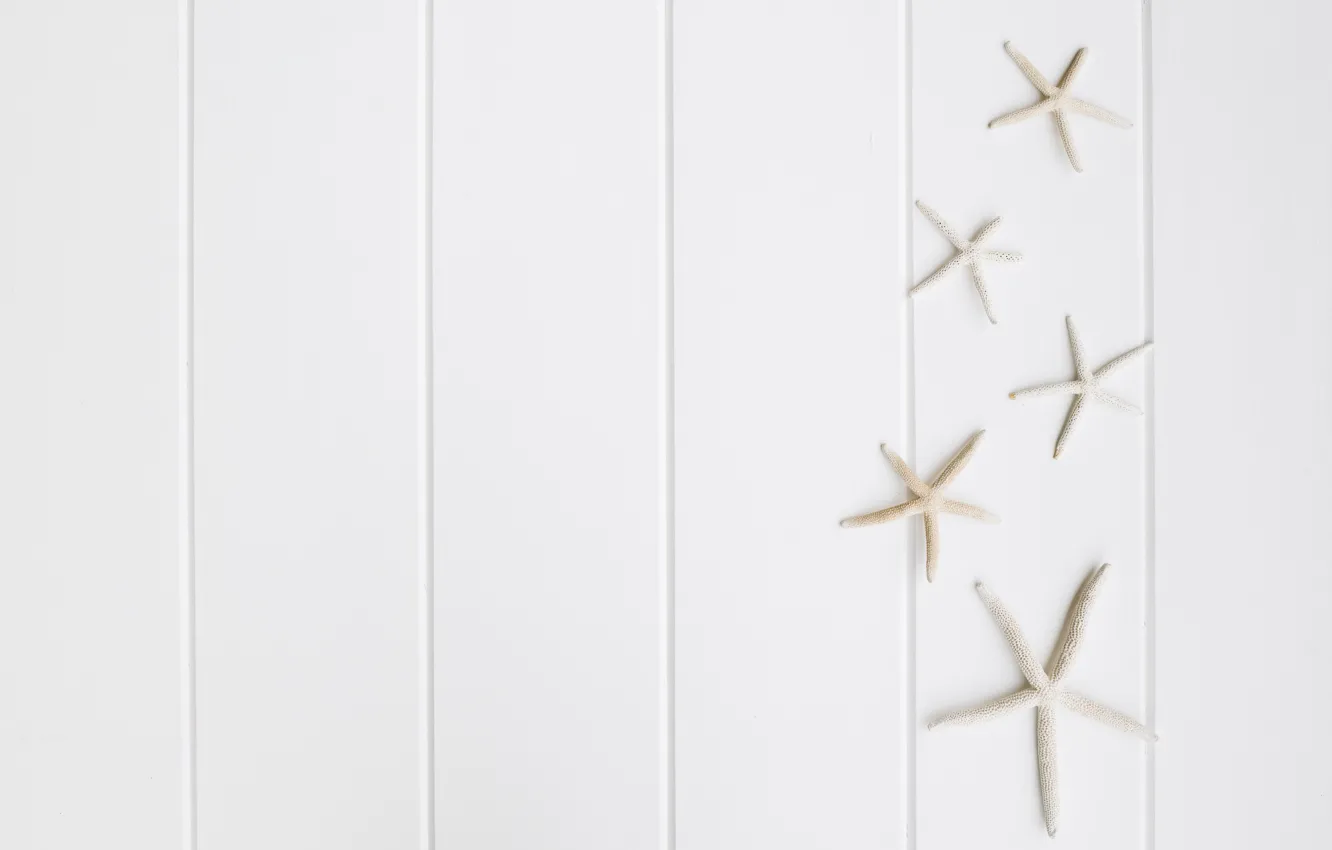 Photo wallpaper white, background, starfish