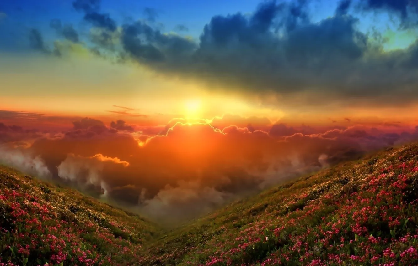 Photo wallpaper the sky, grass, clouds, sunset, flowers, mountains, dawn, hills