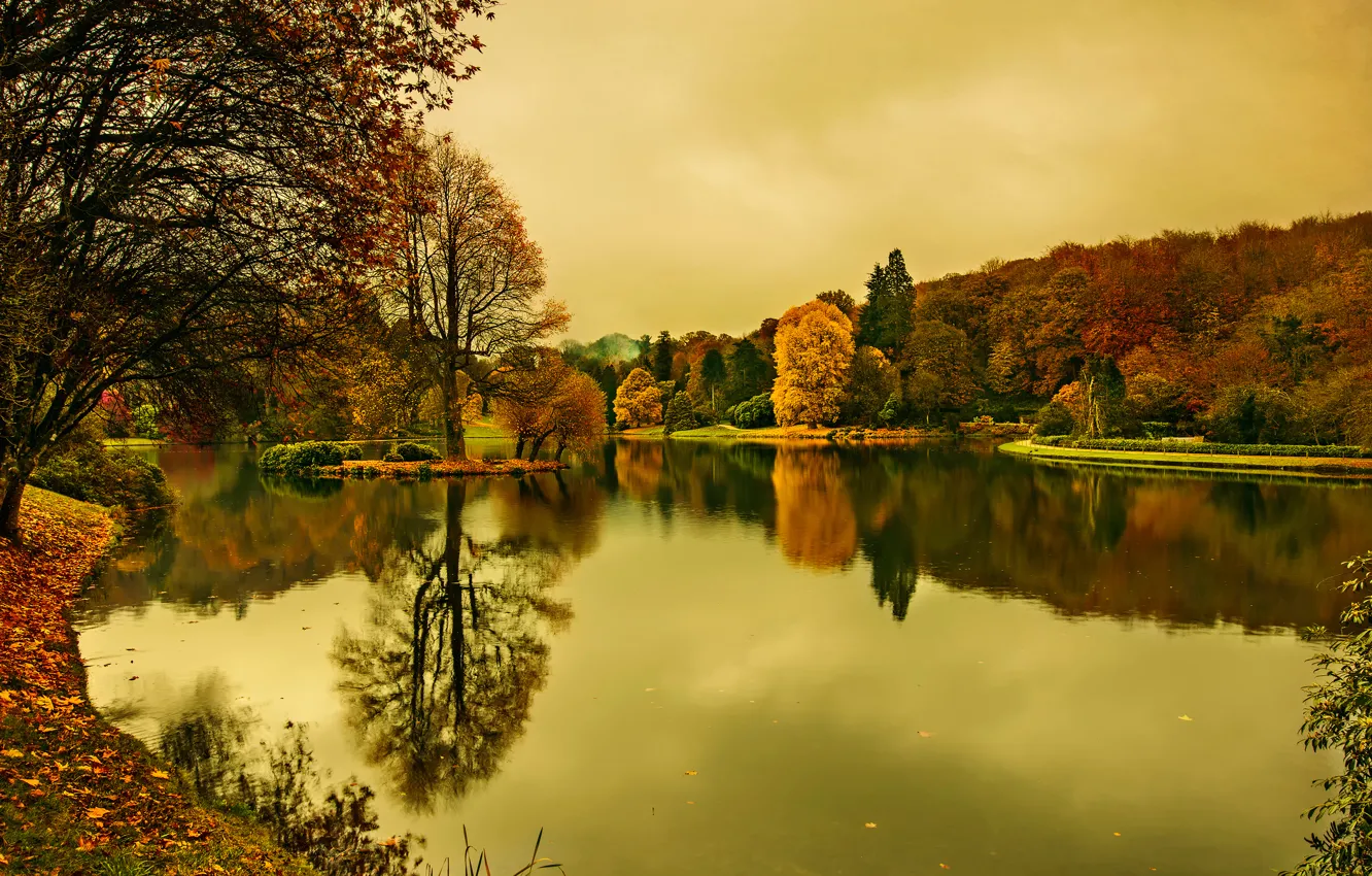 Photo wallpaper autumn, trees, Lies Thru a Lens